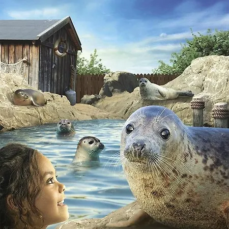 Zen@sea Appartement Blankenberge