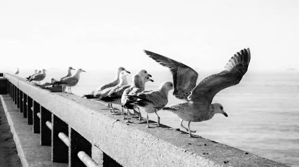 Zen@sea Διαμέρισμα *