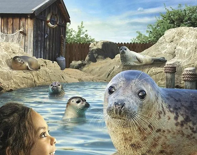 Zen@sea Διαμέρισμα Blankenberge