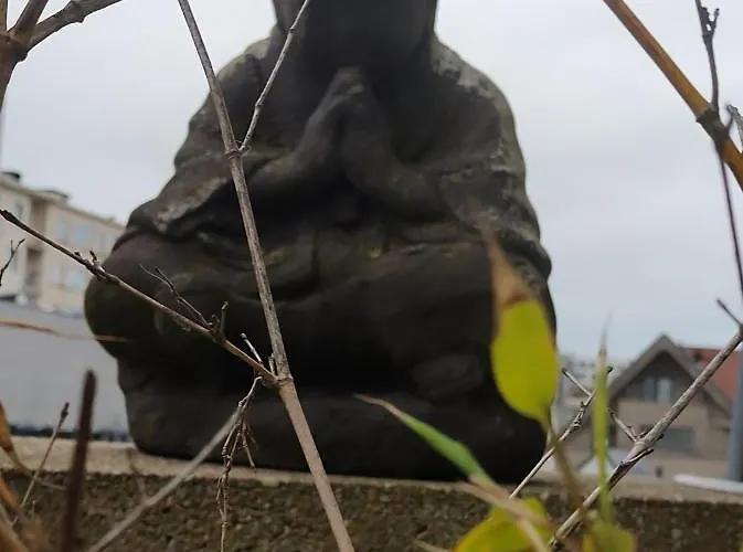 Zen@sea Διαμέρισμα