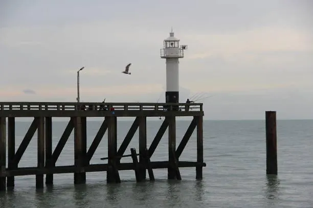 Zen@sea * Blankenberge